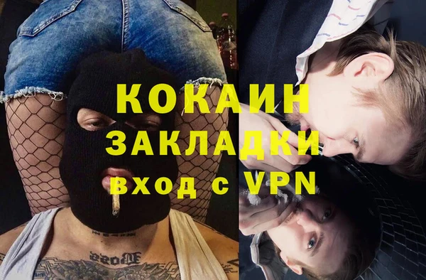 крисы Гусев