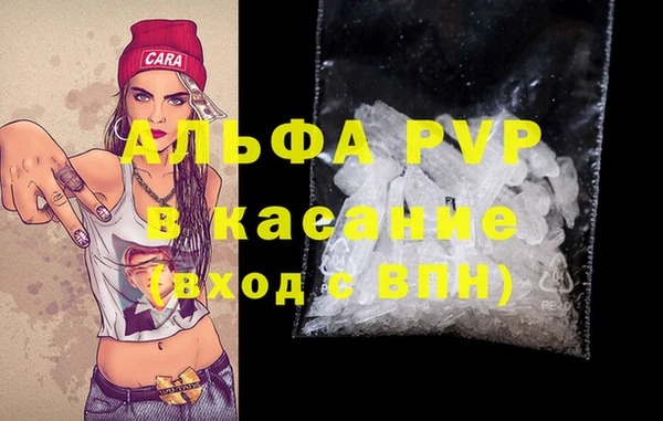 ECSTASY Белокуриха