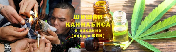 ECSTASY Белокуриха