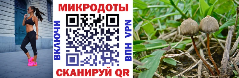 наркошоп  Коммунар  Псилоцибиновые грибы MAGIC MUSHROOMS 